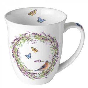chaffinch white mok chaffinch white mok